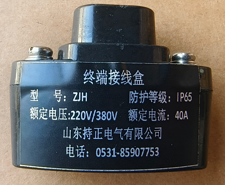 终端接线盒(图1)